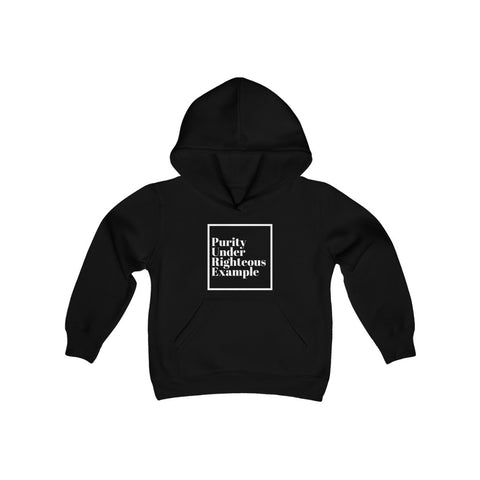 Pure Example Youth Hoody