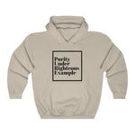 Pure Example Hooded Sweatshirt