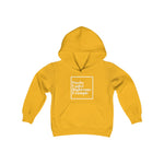 Pure Example Youth Hoody