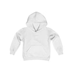 Pure Example Youth Hoody