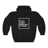 Pure Example Hooded Sweatshirt